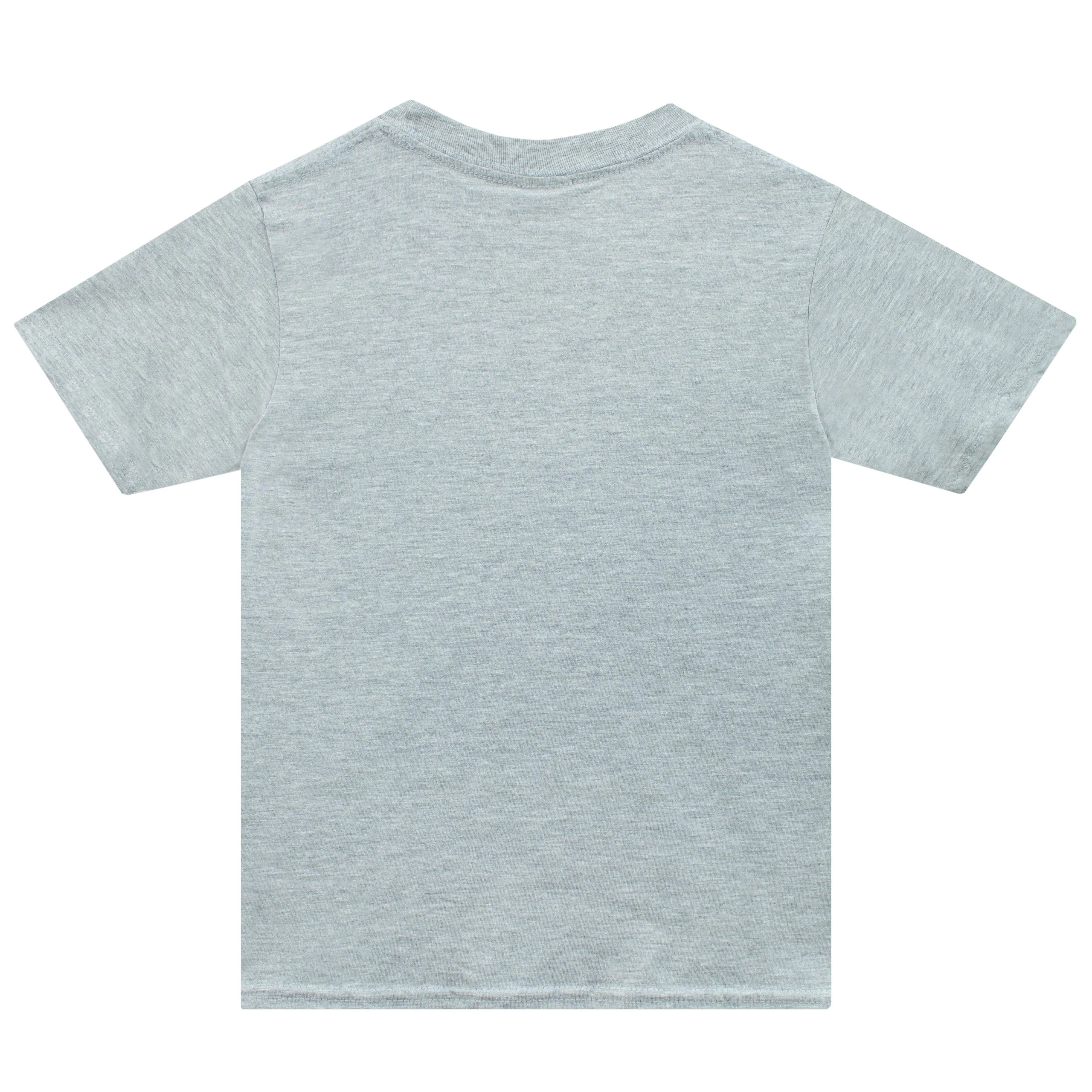 Dragon Ball Z T-Shirt