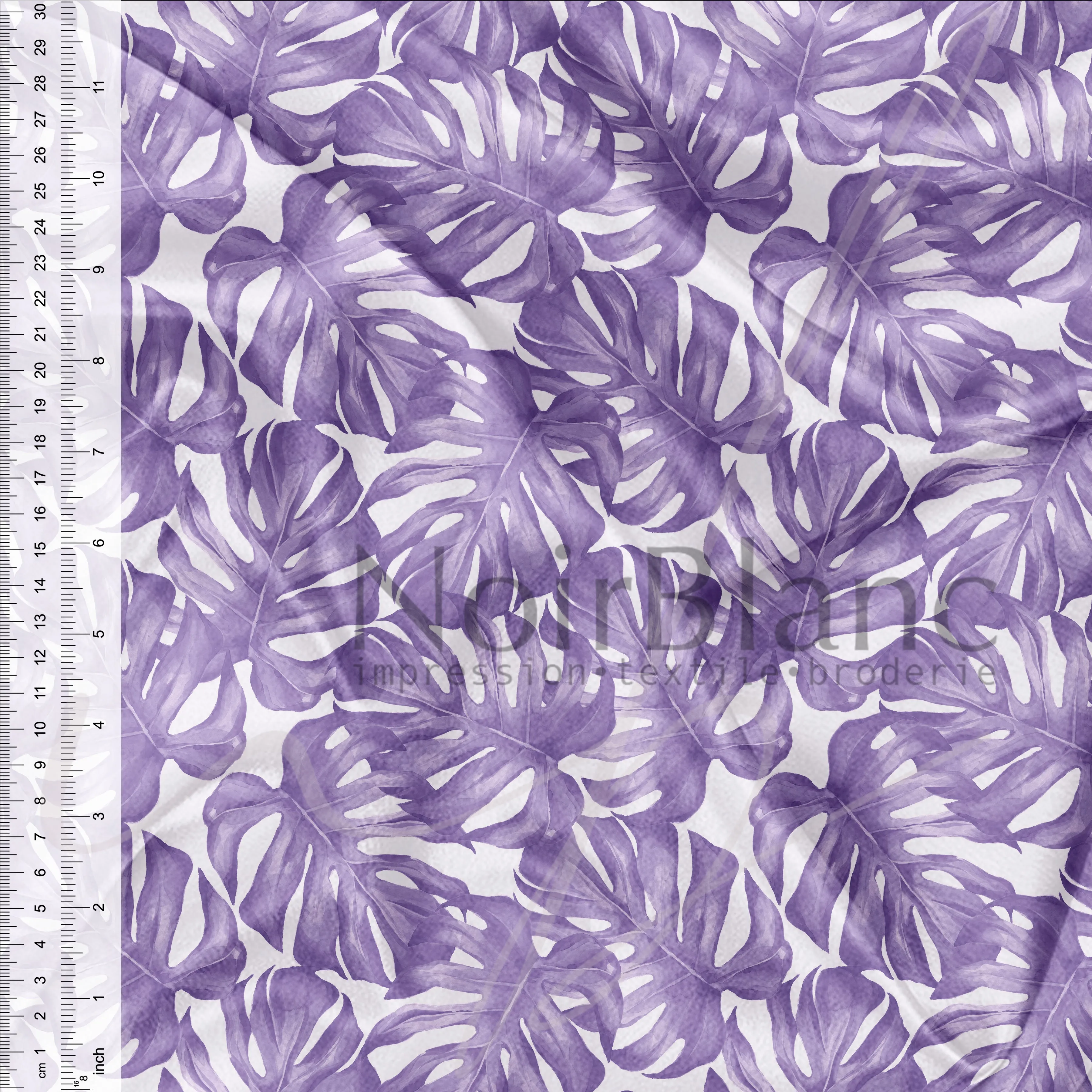 Monstera mauve