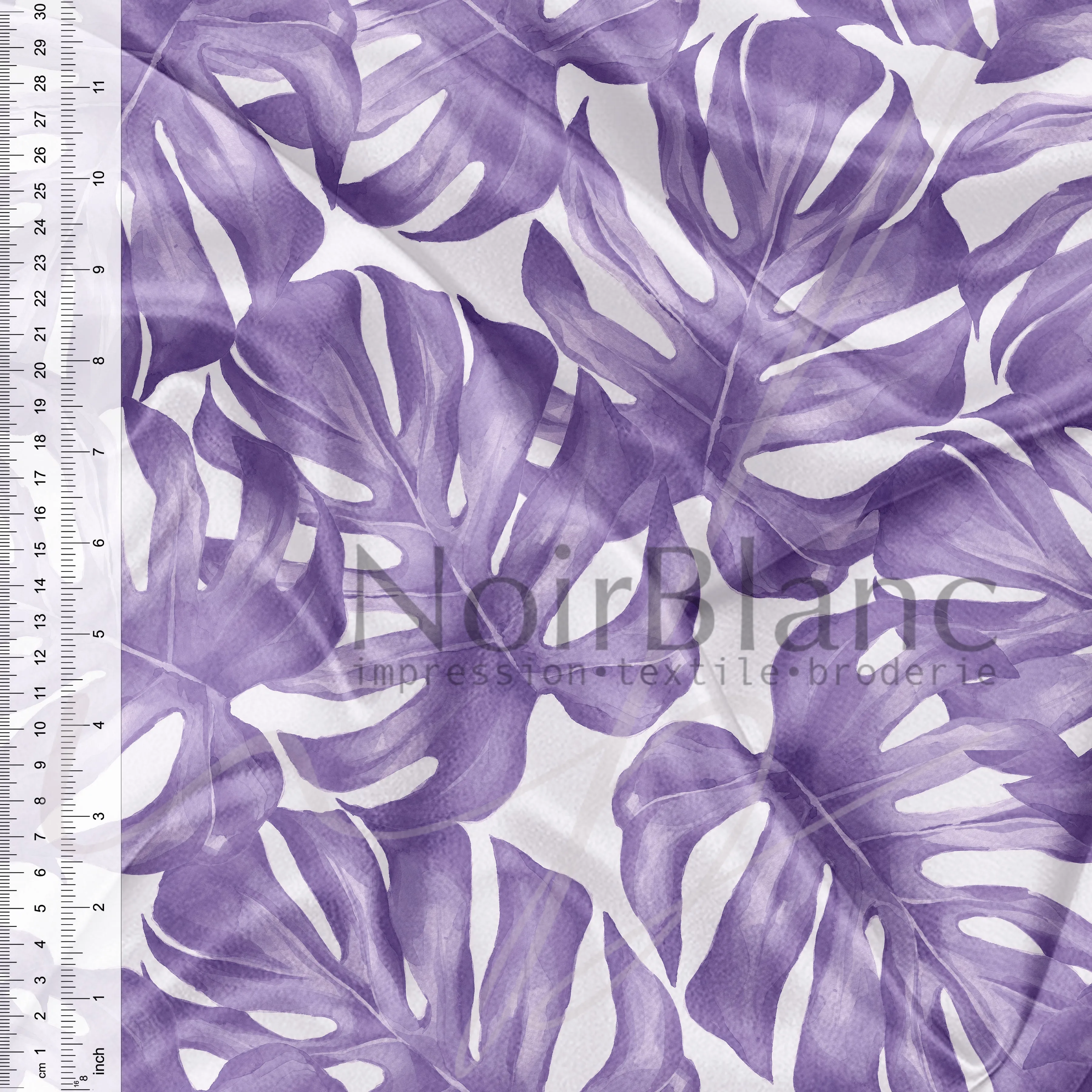 Monstera mauve